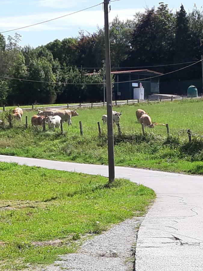 Casa Rural Irigoien サン・セバスティアン 部屋 写真